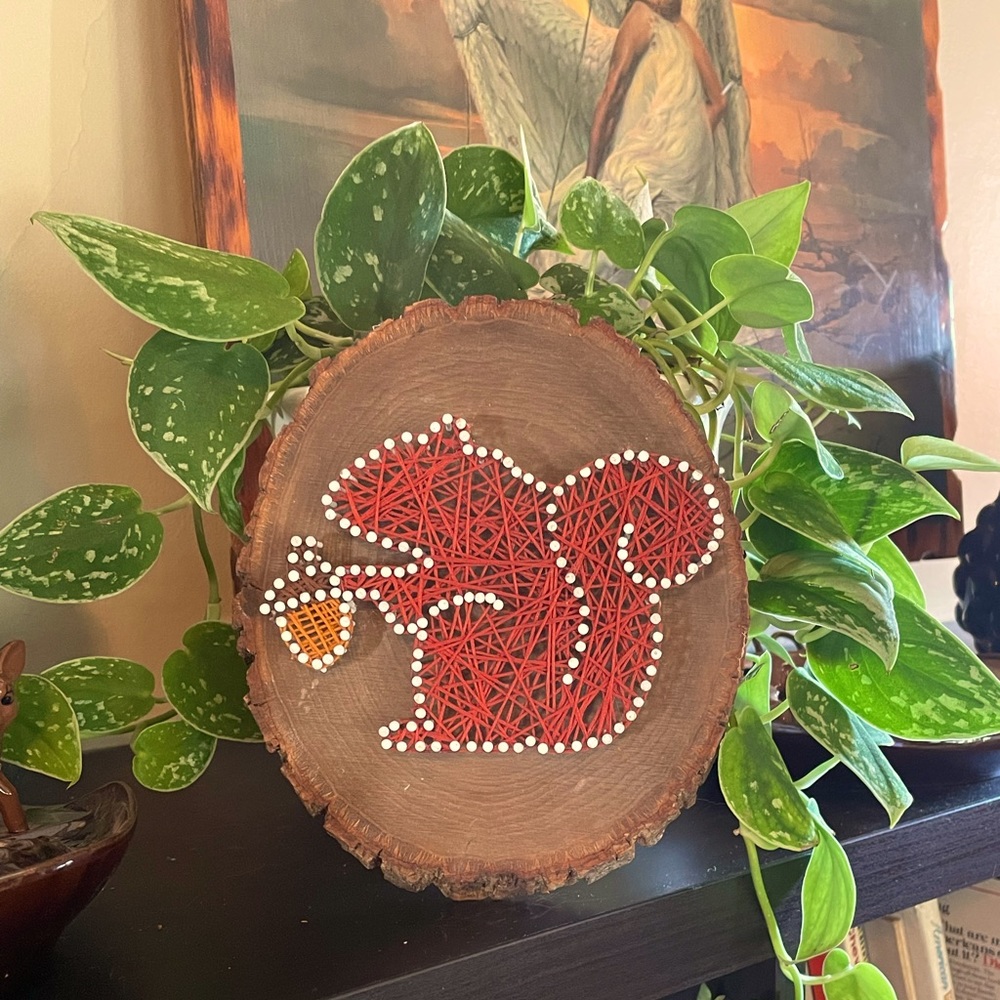 Handmade squirrel string art plaque